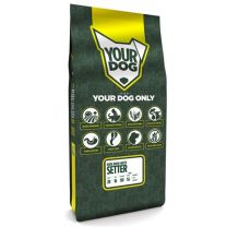 YOURDOG IERSE ROOD-WITTE SETTER PUP 12 KG