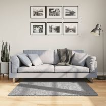  Vloerkleed PAMPLONA shaggy hoogpolig modern 120x120 cm grijs