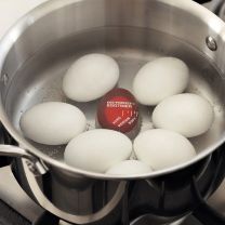 Eierwekker - Eggtimer - verandert van kleur