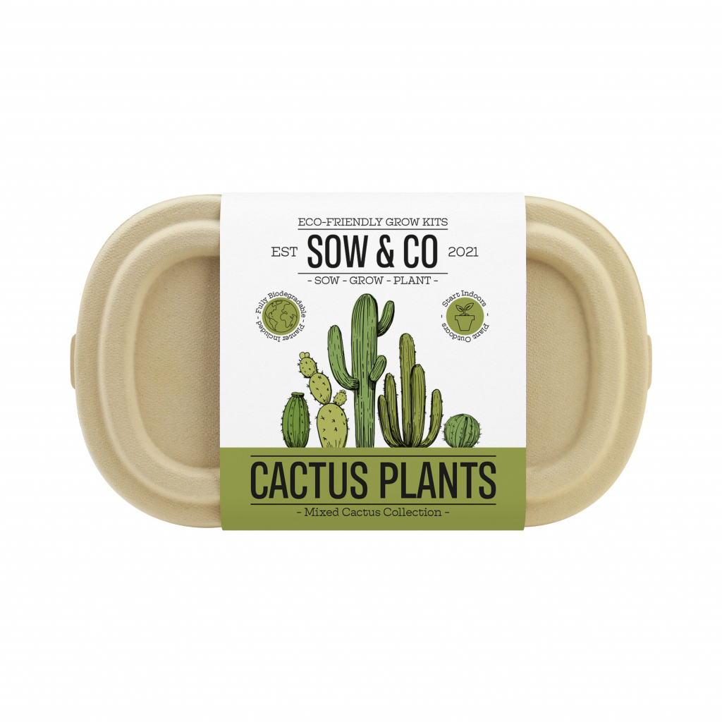 Gift Republic Cactus Plants
