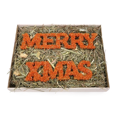 CUPID & COMET MERRY CHRISTMAS FORAGE TRAY